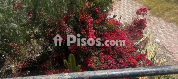 8 Schlafzimmer Haus in Palma de Majorca, Spain, Nr. 173908 9