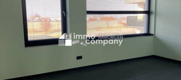 Casa de 10 habitaciónes en Glinzendorf, Austria No. 21361 2