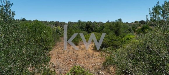 1280m² Land in Sao Bartolomeu de Messines, Portugal No. 61208 16