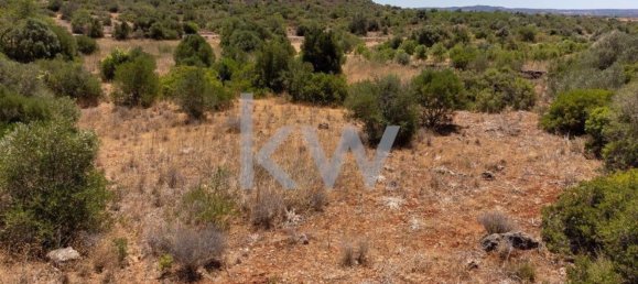 1280m² Land in Sao Bartolomeu de Messines, Portugal No. 61208 6