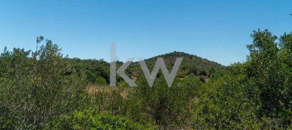 1280m² Land in Sao Bartolomeu de Messines, Portugal No. 61208 15