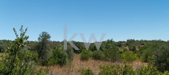 1280m² Land in Sao Bartolomeu de Messines, Portugal No. 61208 17