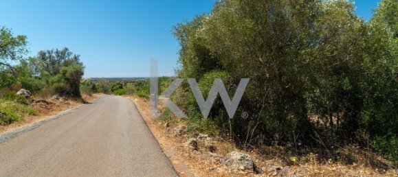 1280m² Land in Sao Bartolomeu de Messines, Portugal No. 61208 11