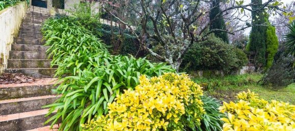 4 Schlafzimmer Haus in Coimbra, Portugal, Nr. 144477 24