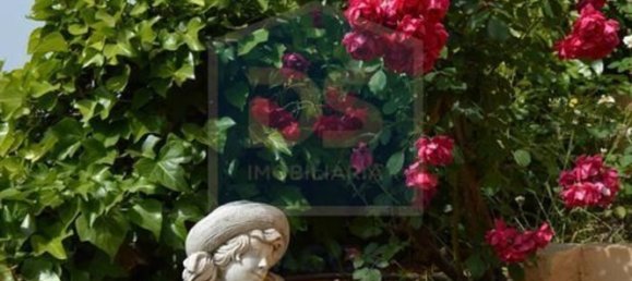 6 bedrooms Castles in Silves, Portugal No. 129282 14