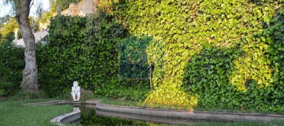 6 bedrooms Castles in Silves, Portugal No. 129282 8