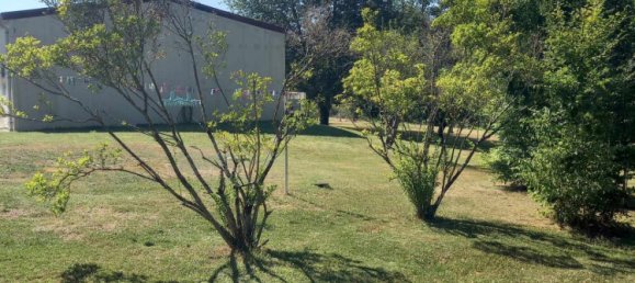 1 غرف نوم منزل في Belleville-sur-Loire, France رقم 246643 43