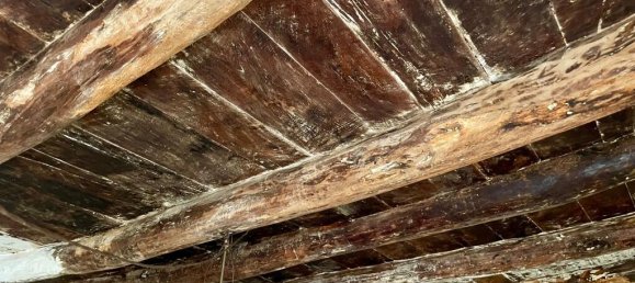 1 bedroom Apartment in Arpino, Italy No. 55606 37