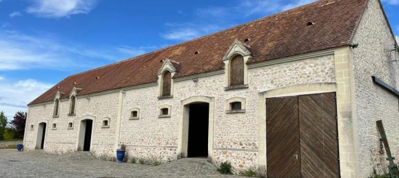 Castillos de 6 dormitorios en Trizay-Coutretot-Saint-Serge, France No. 72484 5