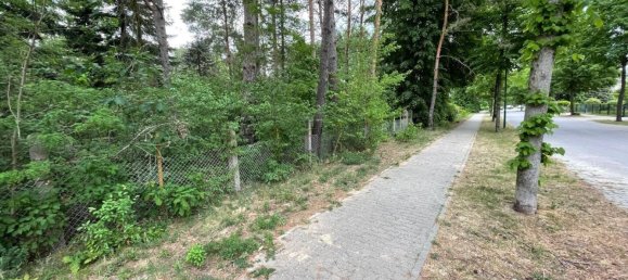 Land in Potsdam-Mittelmark, Germany No. 100681 5