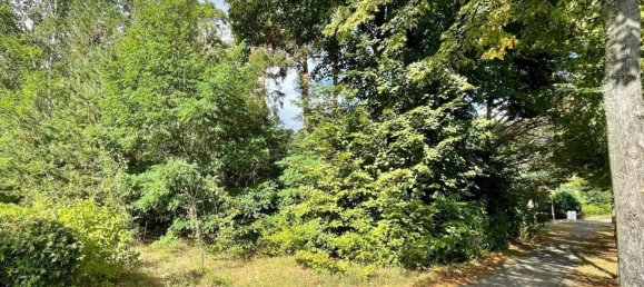 Land in Potsdam-Mittelmark, Germany No. 100681 4