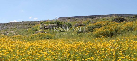 7868m² Land in Mosta, Malta No. 13563 2