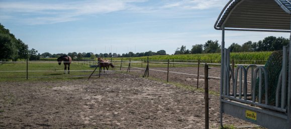 3 chambres Ferme à Leer, Germany No. 367421 26