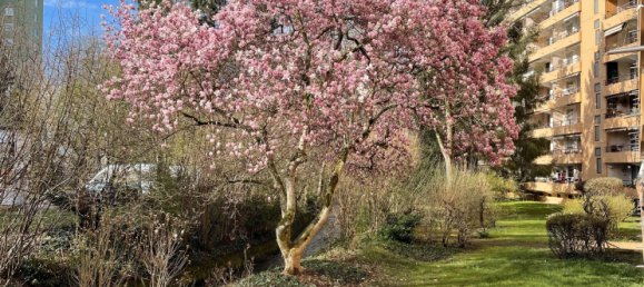 Квартира с 3 спальнями в Фрайбург им Брайсгау, Германия № 3324 27