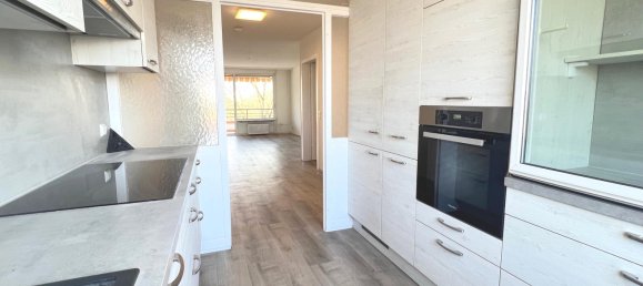 Квартира с 3 спальнями в Фрайбург им Брайсгау, Германия № 3324 4