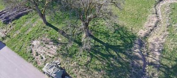 Terrain à Bernkastel-Wittlich, Germany 656m² No. 263981 5