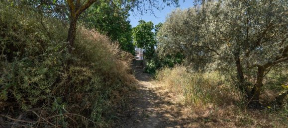  Land in Granada, Spain No. 140971 10