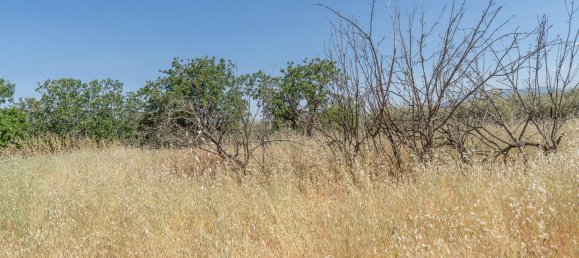  Land in Granada, Spain No. 140971 13