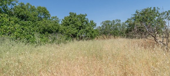  Land in Granada, Spain No. 140971 14