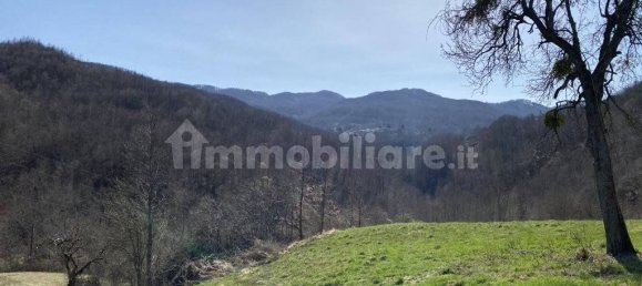 7 bedrooms House in Bedonia, Italy No. 258507 15