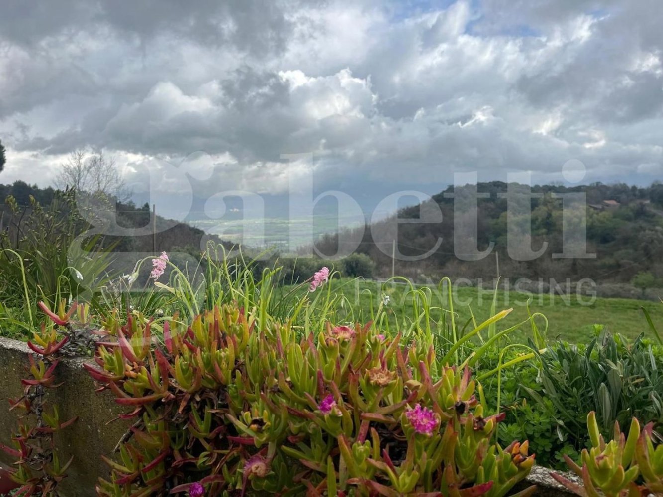 7 rooms House in Alvignano, Italy No. 6330