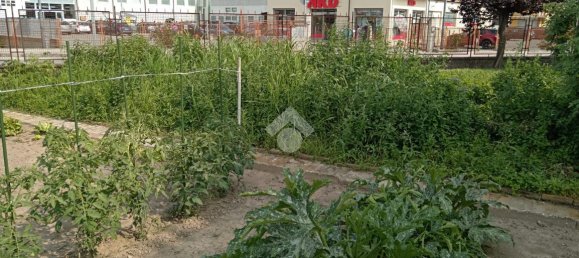 5 rooms Apartment in Vigone, Italy No. 14758 11