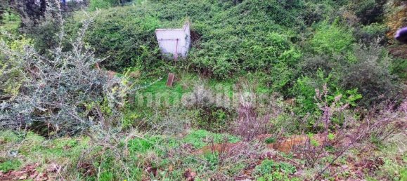 1570m² Land in Rome, Italy No. 277654 3