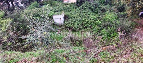 1570m² Land in Rome, Italy No. 277654 5