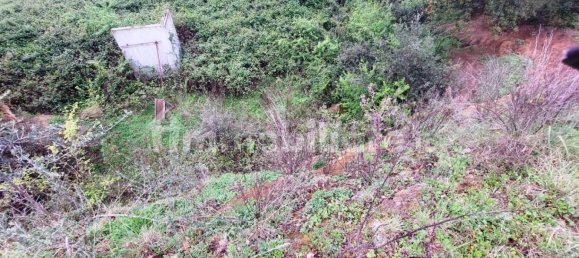 1570m² Land in Rome, Italy No. 277654 2