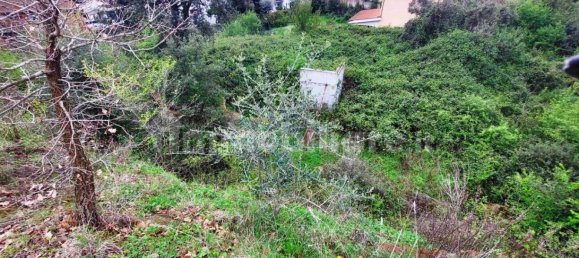 1570m² Land in Rome, Italy No. 277654 4