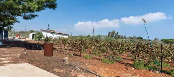 4 غرف نوم فيلا في Protaras, Cyprus رقم 81294 8