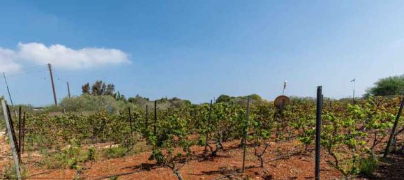 4 غرف نوم فيلا في Protaras, Cyprus رقم 81294 7