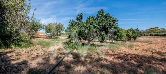 3 bedrooms House in Torres Vedras, Portugal No. 63995 22