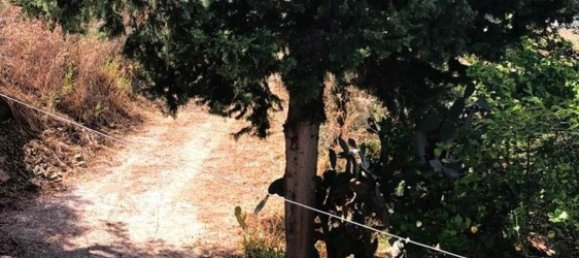 8غرفة منزل في Montecorice, Italy رقم 291974 5