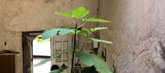 8غرفة منزل في Montecorice, Italy رقم 291974 6