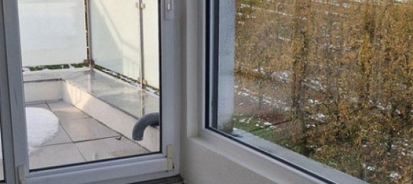 1 chambre Penthouse à Bodenseekreis, Germany No. 218038 36