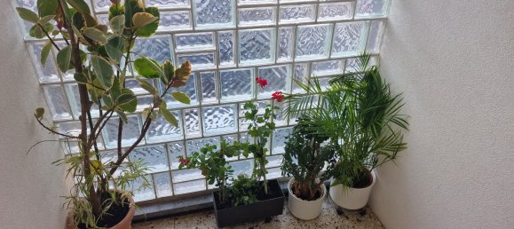 1 chambre Penthouse à Bodenseekreis, Germany No. 218038 5