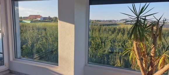 1 chambre Penthouse à Bodenseekreis, Germany No. 218038 12