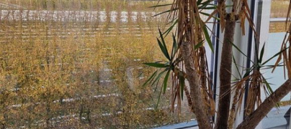 1 chambre Penthouse à Bodenseekreis, Germany No. 218038 32