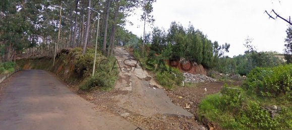  Land in Camara de Lobos, Portugal No. 94902 16