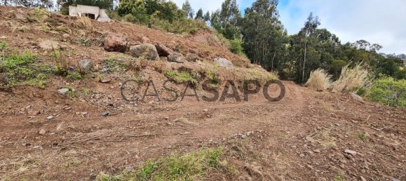  Land in Camara de Lobos, Portugal No. 94902 4