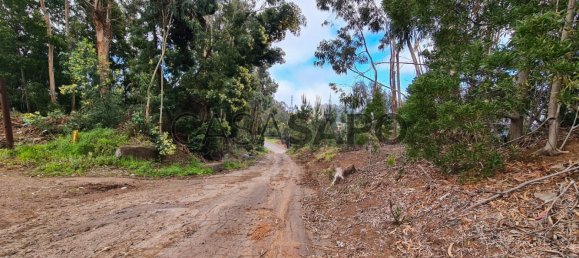  Land in Camara de Lobos, Portugal No. 94902 17