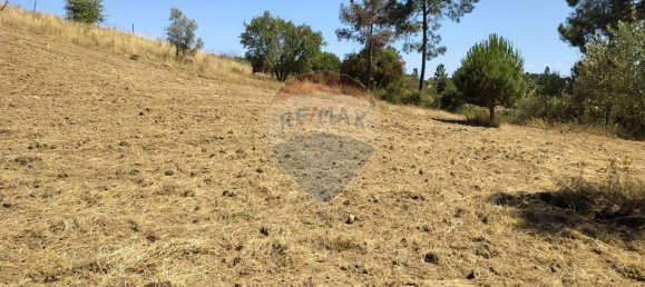 Земельный участок 1560м² в Томар, Португалия № 71256 11