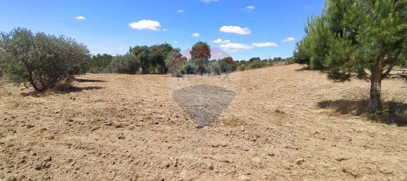 Земельный участок 1560м² в Томар, Португалия № 71256 9