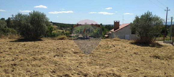 Земельный участок 1560м² в Томар, Португалия № 71256 13