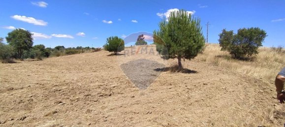 Земельный участок 1560м² в Томар, Португалия № 71256 2