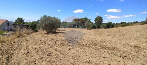 Земельный участок 1560м² в Томар, Португалия № 71256 10