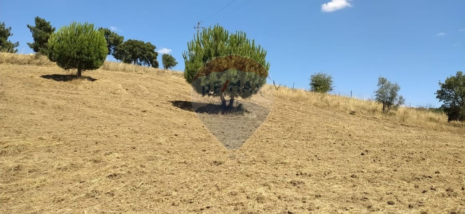 Земельный участок 1560м² в Томар, Португалия № 71256