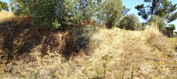 Земельный участок 1560м² в Томар, Португалия № 71256 6