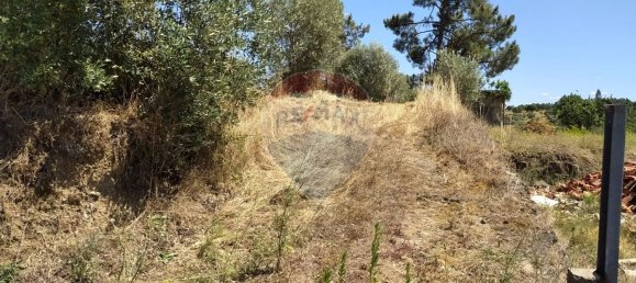 Земельный участок 1560м² в Томар, Португалия № 71256 4